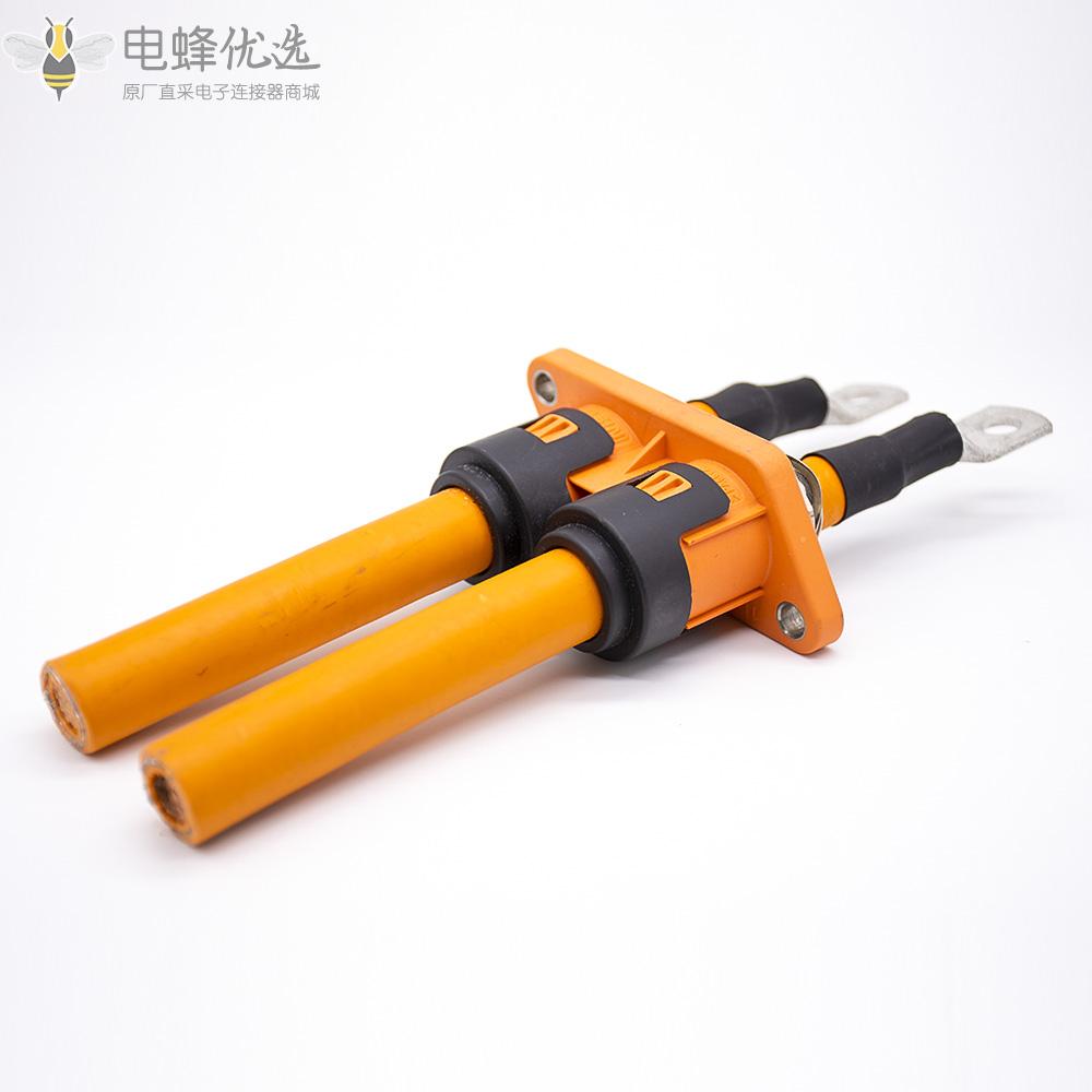 HVPT2芯高压连接器150A塑料外壳IP67_180度直式插头插座面板安装厂家定制