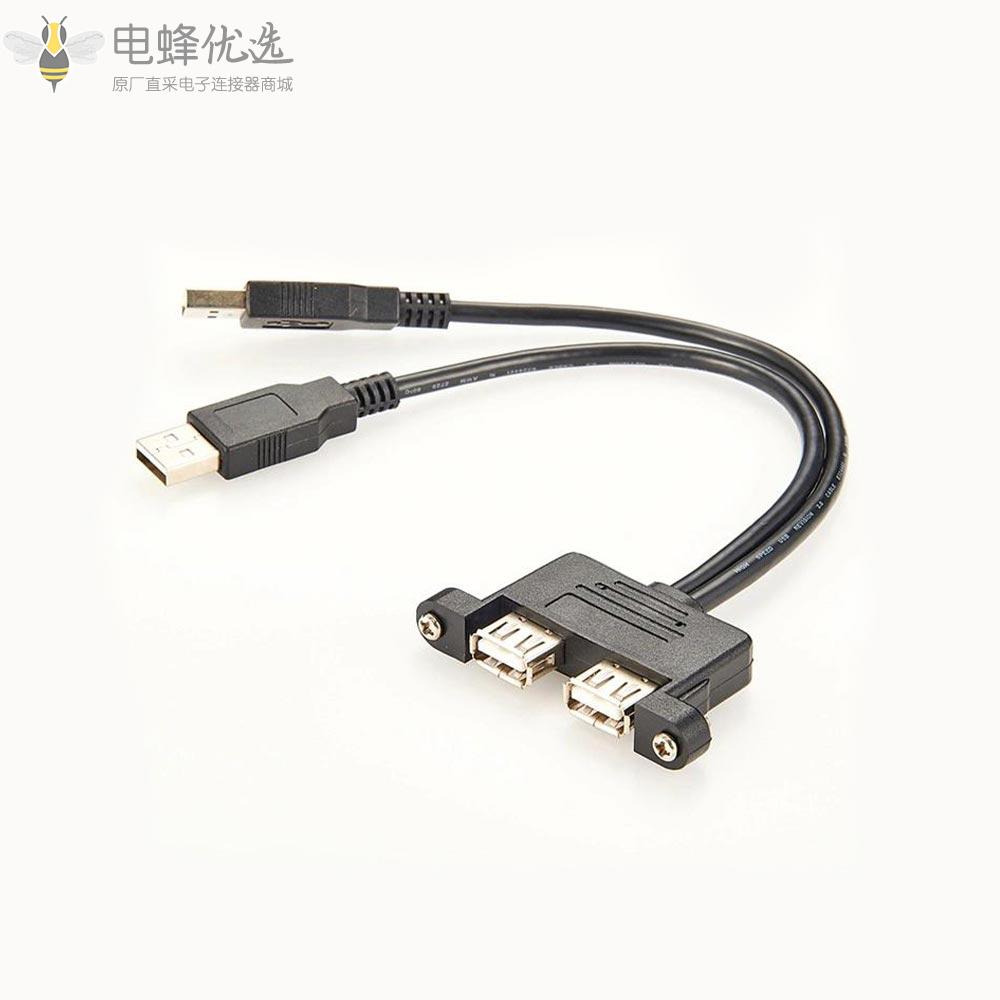Type_A双USB_2.0公转母延长线30厘米带螺丝面板安装孔